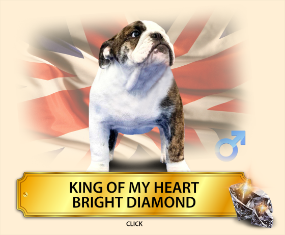 king.png