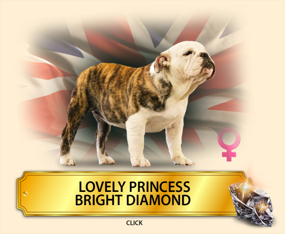 princess.png
