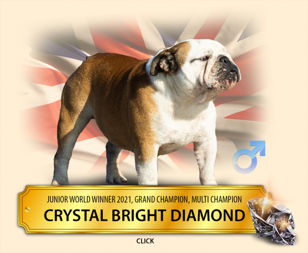crystal1.png