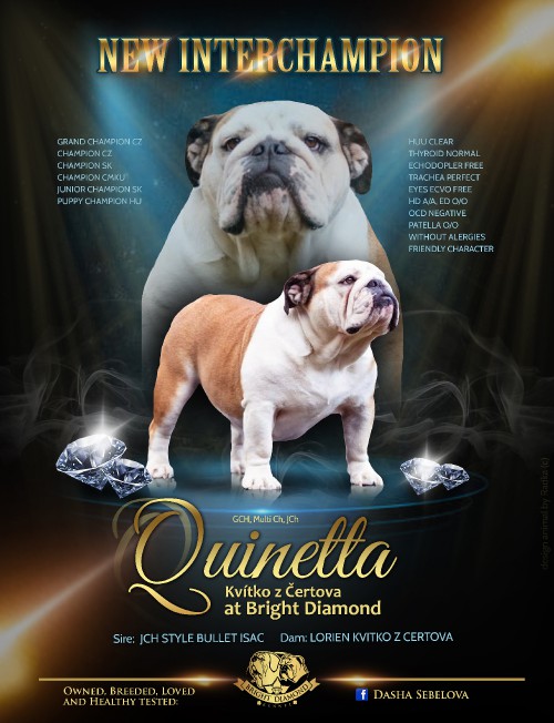 quinetta.jpg