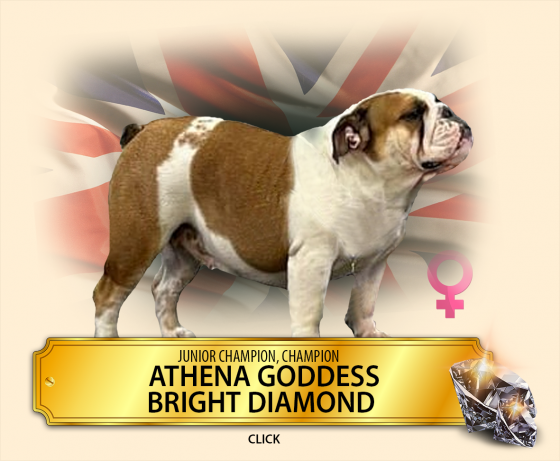 athena.png