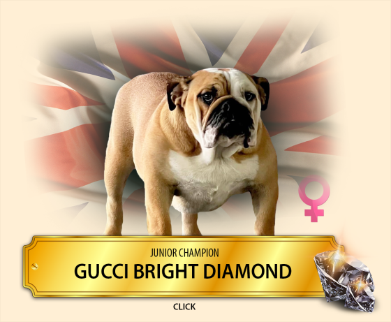 gucci.png