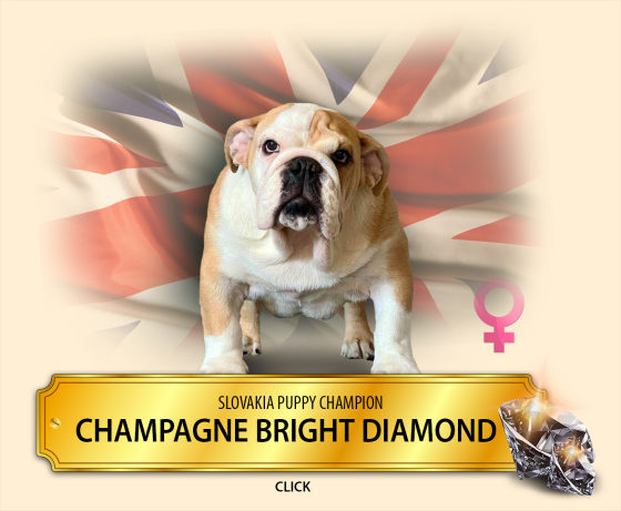 champagne.png