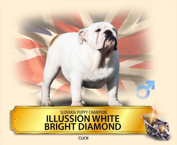 ilussion_white.png