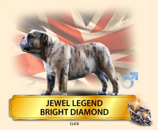 jewel-legend.png