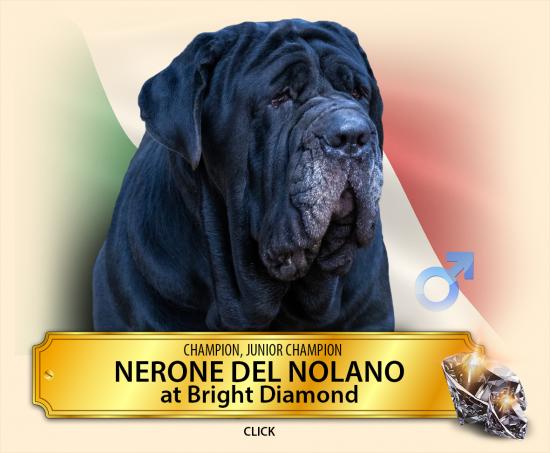 nerone.png