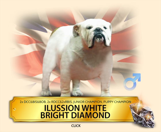 ilussion_white.png