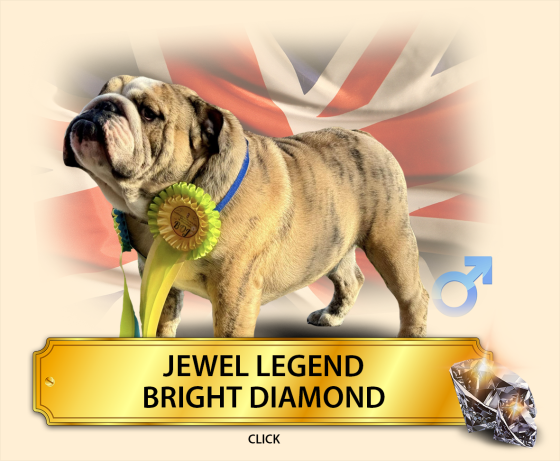 jewel-legend.png