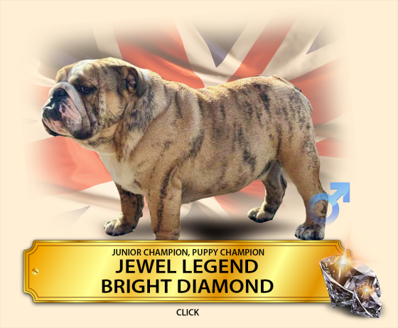 jewel-legend.png